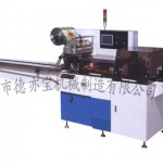 DBW-450  Pillow Packaging Machine