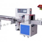 DBW-250X350XBiscuit packaging machine